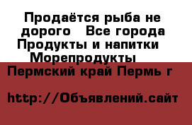 Продаётся рыба не дорого - Все города Продукты и напитки » Морепродукты   . Пермский край,Пермь г.